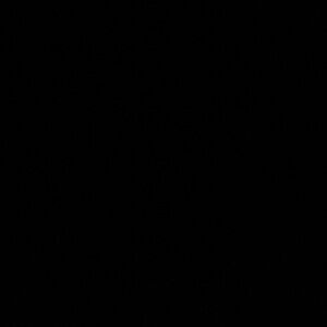 Meet your Posher, Adorian